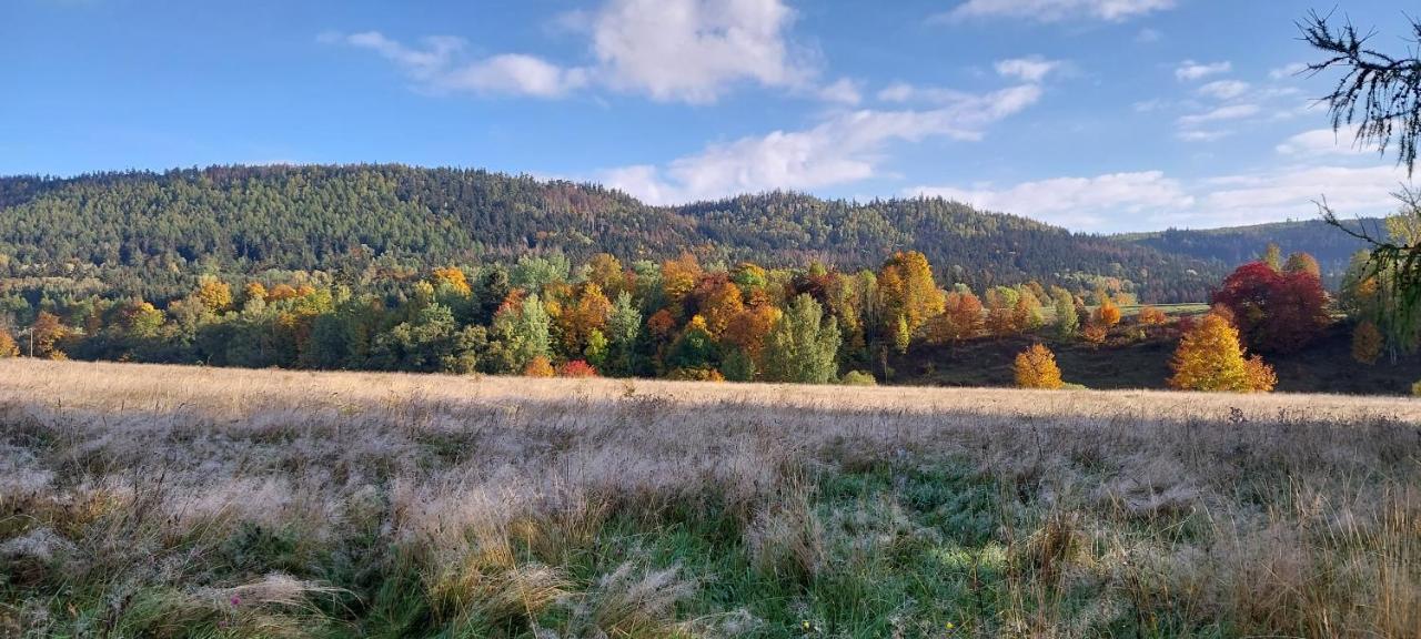 Domki Pod Sudeckim Niebem Villa Duszniki Zdrój Exteriör bild