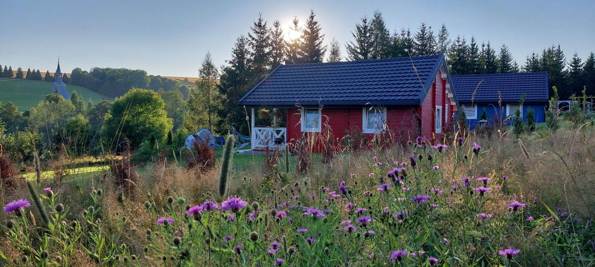 Domki Pod Sudeckim Niebem Villa Duszniki Zdrój Exteriör bild